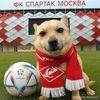 spa_msk1922