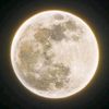moon_gogo1