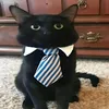 zmikziiik0