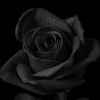 blackblack08081991