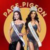 page.pigeon