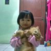 s.for_cesul