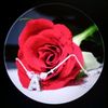 aila565657