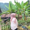 nazwa_16111