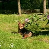 birgit.spz