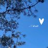 user2018174339427