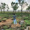 rajibhasan.imm
