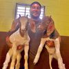 rancher_robb