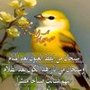 omarnajar678