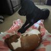 ashleigh_p13