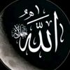 f.believer