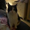 mew_mew557