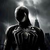 spider_rrepa