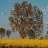 florin.mihalache4