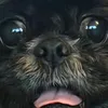 tomsacvnt