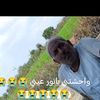 jasmen38327846098197