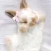 _bunny1435
