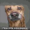 griztkakashki_1