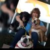 dog_mom20234