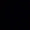 rimer_007