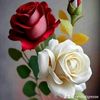 nk.amina1