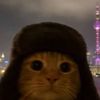 ifollowback00122