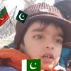 gikk799