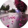 user4097813278512