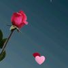 alahzgihy5a