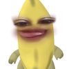 kiaaqq2516
