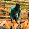 jimmyanimalshelter1