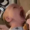 misamojokqi