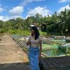 clra_207