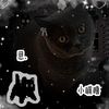 kittyo964