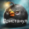 analnyi_evaka