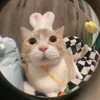 hongten_5