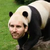 pandysmilyface