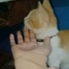 sheyy__0702