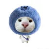 hoanggdang01