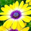 soli_m_2210