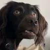 random.videos8180