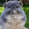 eli_c00k3
