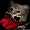 liciusy
