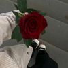 fa_nur1