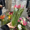 turkan_741
