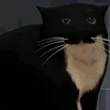 mr.mopsss