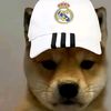 danielmedina2143