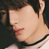lee_linos