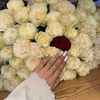 _.qurbanzade._03