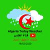 algeria.today.weather
